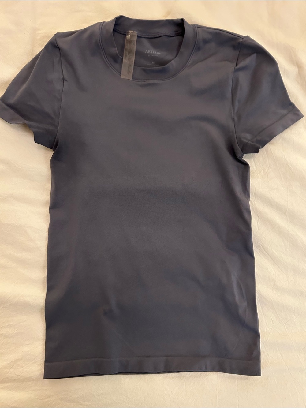 Aritzia Athletic Slate Grey/Blue Tee